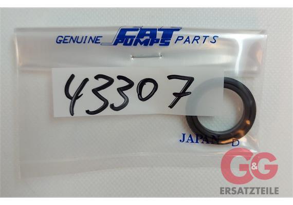 DICHTUNG, HOCHDRUCK, SNG (NBR)