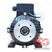 E-Motor 2,2 kW - 230V - Ø24mm Hohlwelle - IEC 100 - pumpenserie: 44 - 50 - 53(E1) - 58(E2) | Bild 3