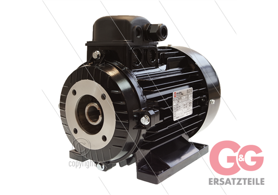 E-Motor 3.0 kW - 230/400V - Ø24mm Hohlwelle - IEC 100 - Seri