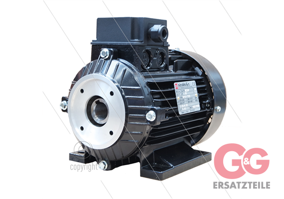 E-Motor 4.0 kW - 230/400V - Ø24mm Hohlwelle - IEC 112 - pumpenserie: 47(VHT-SS) - 59(E3)