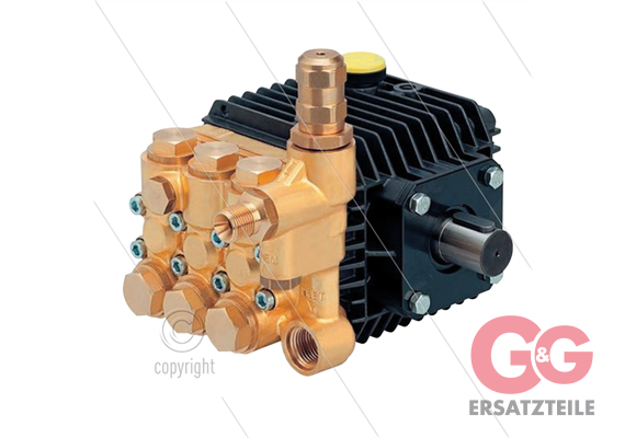 FE5106 Nebelpumpe mit Druckregler - 6 l/min - 100 Bar - 1450 U/min - 1,23 kW - Welle R