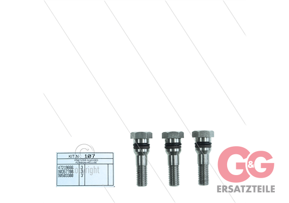 Kit 107 - Satz Plungerschrauben + Dichtungen (3x) - Serie 47