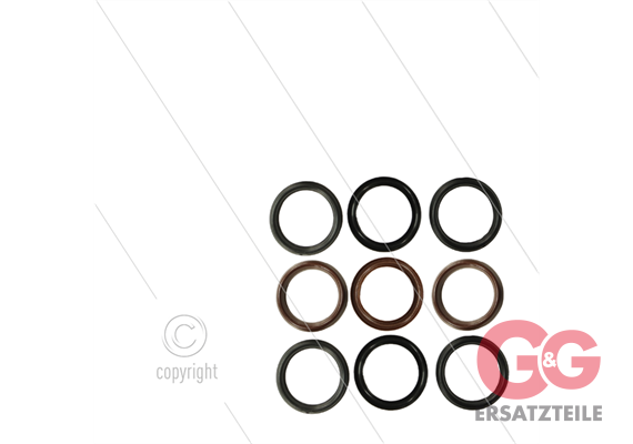Kit 113 - Manschettensatz Ø30mm für 3 Plunger - Serie 69 - W103CW