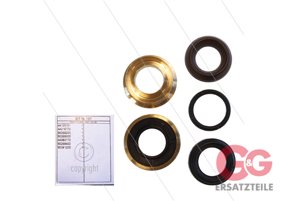 Kit 131 - kompletter Dichtsatz Ø18mm für 1 Plunger - Serie 44