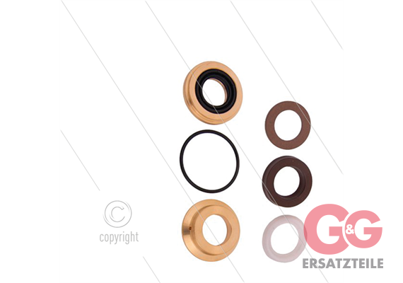 Kit 166 - kompletter Dichtsatz Ø15mm für 1 Plunger - Serie 6