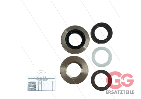 Kit 171 - kompletter Dichtsatz Ø20mm für 1 Plunger - Serie 66