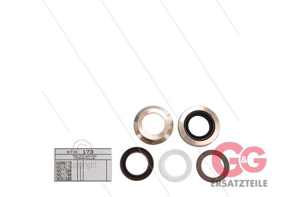 Kit 173 - kompletter Dichtsatz Ø22mm für 1 Plunger - Serie 66