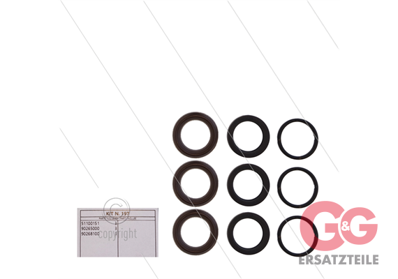 Kit 197 - Manschettensatz Ø18mm für 3 Plunger - Serie 60