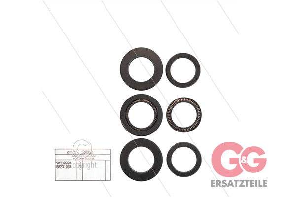 Kit 202 - Manschettensatz Ø22mm für 3 Plunger - Serie 47 HT + 47 SS
