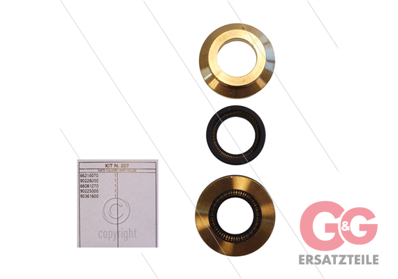 Kit 207 - kompletter Dichtsatz Ø20mm für 1 Plunger - Serie 66(V)HT