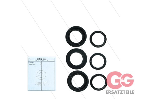 Kit 208 - Manschettensatz Ø22mm für 3 Plunger - Serie 66 (V)HT