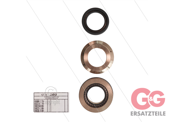 Kit 209 - kompletter Dichtsatz Ø22mm für 1 Plunger - Serie 66(V)HT
