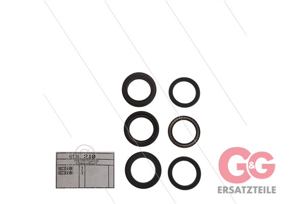 Kit 210 - Manschettensatz Ø24mm für 3 Plunger - Serie 66(V)HT + SS