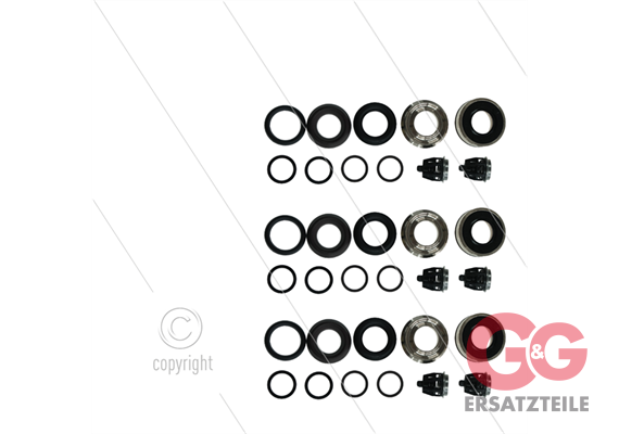 Kit 222 - kompletter Dichtsatz Ø22mm für 3 Plunger inkl. Ven