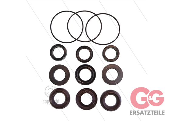 Kit 2228 - Manschettensatz Ø18mm für 3 Plunger - Serie 70 (W