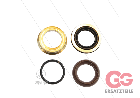Kit 227 - kompletter Dichtsatz Ø18mm für 1 Plunger - Serie 60 Misting