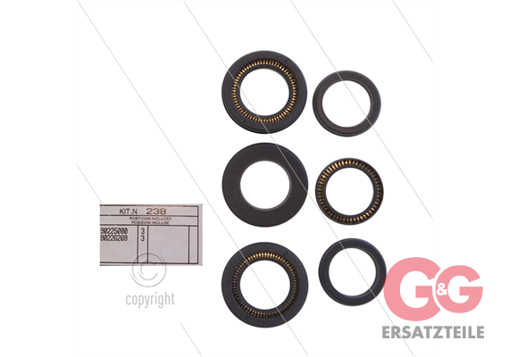 Kit 238 - Manschettensatz Ø20mm für 3 Plungers - Serie SS
