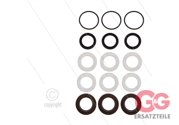 Kit 273 - Manschettensatz Ø15mm für 3 Plungers - Serie 58