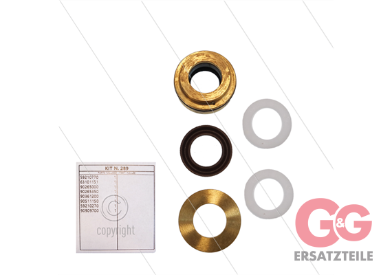 Kit 289 - kompletter Dichtsatz Ø18mm für 1 Plunger - Serie 5