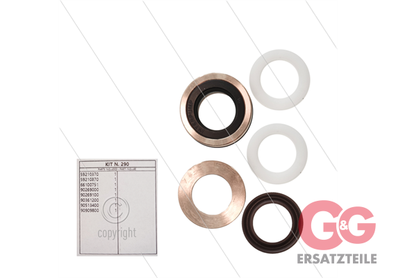 Kit 290 - kompletter Dichtsatz Ø20mm für 1 Plunger - Serie 59