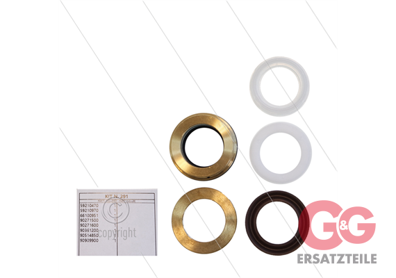 Kit 291 - kompletter Dichtsatz Ø22mm für 1 Plunger - Serie 59