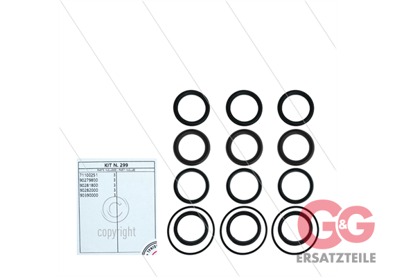 Kit 299 - Manschettensatz Ø36mm für 3 Plunger - Serie AB