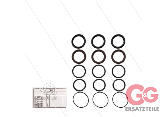 Kit 301 - Manschettensatz Ø45mm für 3 Plunger - Serie AB
