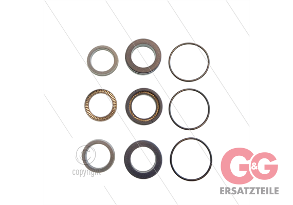 Kit 350 - Manschettensatz Ø20mm für 3 Plunger - Serie C3W HT - Serie 59