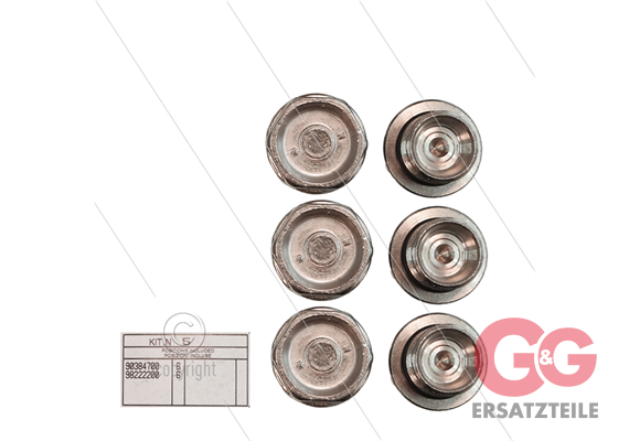 Kit 5 - Satz Ventilstopfen + O-Ringe (6x) - Messing vernickelt - M24x2x16,5 - Serie 47