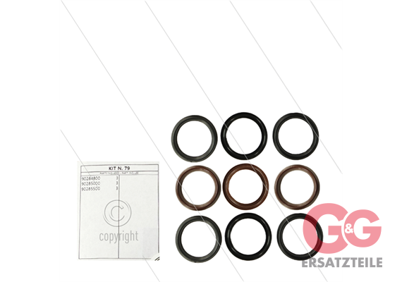 Kit 79 - Manschettensatz Ø45mm für 3 Plunger