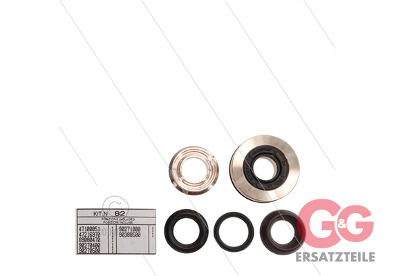 Kit 82 - kompletter Dichtsatz Ø20mm für 1 Plunger - Serie 69