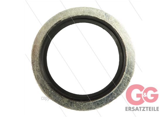 Multi-seal Dichtring - Stahl - 1" - t=2,5mm