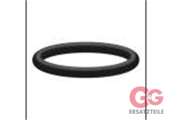 O-Ring 20,24x2,62 NBR (Perbunan) (1 Stück)