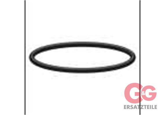 O-Ring 9,16x2,62 mm FKM (1 Stück)