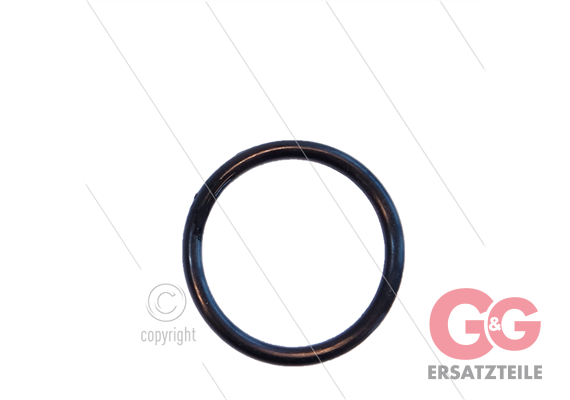 O-Ring RP3100 groß