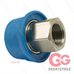 RP3100 - Kupplung - Edelstahl mit Kunststoffring - 250 Bar - max 150°C - 1/2" IG | Bild 2