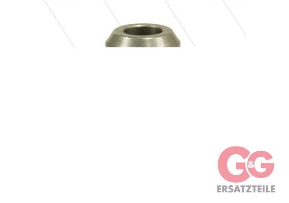 RSS250 - Nippel - Edelstahl - 250 Bar - passend zu Nilfisk-A