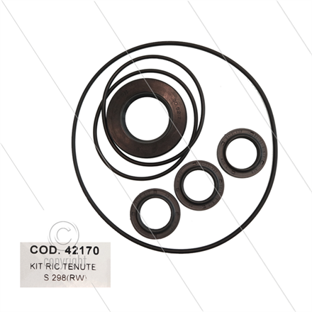 AR Kit 42170 - Satz Öldichtungen