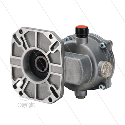 B31 Getriebe - Serie Speck NP25 (Welle 28mm) - 2.176:1 - max 17 bis 23 kW - 1.1/8" Welle