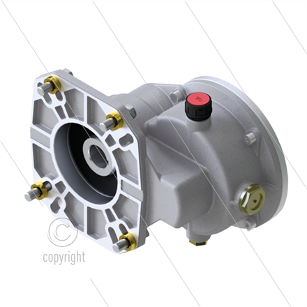 B40 - Getriebe - Pumpenserie: Pratissoli EV - (welle Ø28mm) - 2.21:1 - 23 bis 29, kW - 1 1