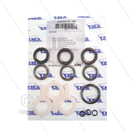 Cat 530 - Dichtungssatz (3 Plunger)