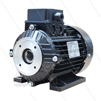 E-Motor 1.85 kW - 230/400V - Ø24mm Hohlwelle - IEC 90 - pump