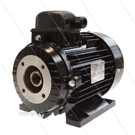 E-Motor 3.0 kW - 230/400V - Ø24mm Hohlwelle - IEC 100 - Seri