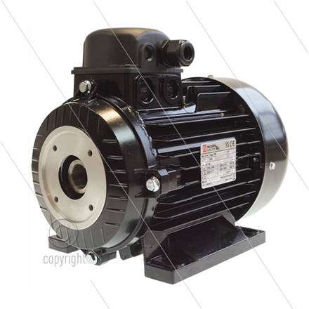 E-Motor 3.0 kW - 230/400V - Ø24mm Hohlwelle - IEC 100 - Serie E1/E2/44/50/51/60(HT)/63(HTS