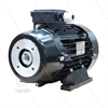 E-Motor 5.5 kW - 230/400V - mit flexible Kupplung - Ø24mm Hohlwelle - IEC 112 - mit Thermo