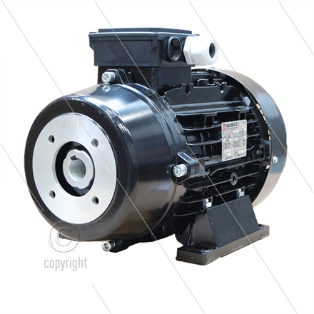 E-Motor 5.5 kW - 230/400V - mit KTR Kupplung - Ø24mm Hohlwelle - IEC 132 - mit Thermoschut
