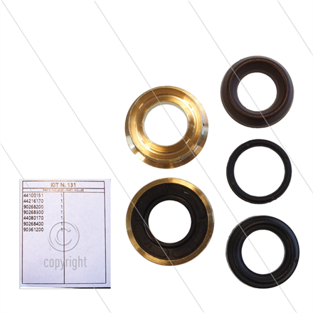 Kit 131 - kompletter Dichtsatz Ø18mm für 1 Plunger - Serie 44
