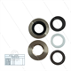 Kit 171 - kompletter Dichtsatz Ø20mm für 1 Plunger - Serie 66