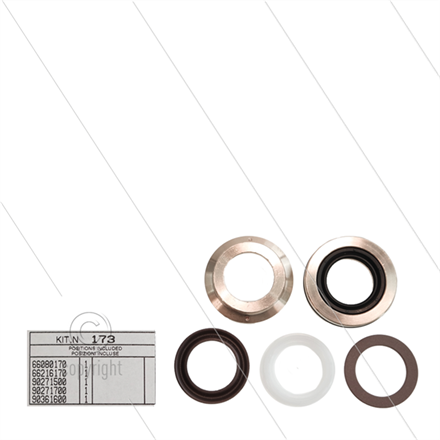 Kit 173 - kompletter Dichtsatz Ø22mm für 1 Plunger - Serie 66