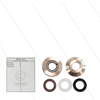 Kit 175 - kompletter Dichtsatz Ø16mm für 1 Plunger - Serie 66